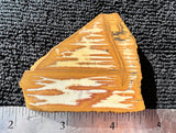 Owyhee Jasper Rock Slab 0304