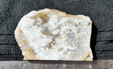 Sheep Creek Plume Agate Slab 0106