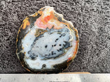 Brazilian Agate Polished Rock slab 0302