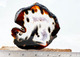 Brazilian Agate Polished Rock slab 0304