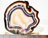Brazilian Agate Polished Rock slab 0204