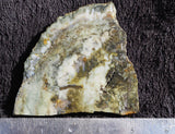 Coprolite Rock Slab 39