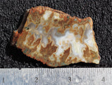 Idaho Sunset Jasper Slab 91