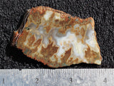 Idaho Sunset Jasper Slab 91