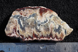 Persian Flame Agate Rock Slab 48