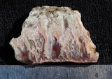 Persian Flame Agate Rock Slab 43