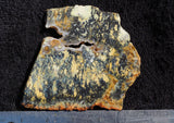 Australian Dendritic Opal Rock slab 76