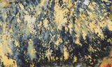 Australian Dendritic Opal Rock slab 76