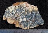 Australian Dendritic Opal Rock slab 73