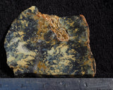 Australian Dendritic Opal Rock slab 61
