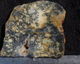 Australian Dendritic Opal Rock slab 74
