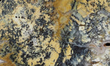 Australian Dendritic Opal Rock slab 63