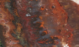 Mexican Flame Agate Rock Slab 12