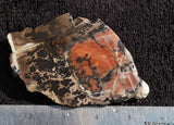 Tiffany Stone Rock Slab 0208