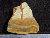Owyhee Jasper Rock Slab 96