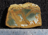 Owyhee Jasper Rock Slab 0042