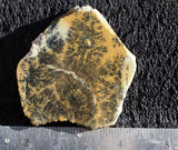 Dendritic Opal Rock Slab 12
