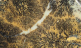 Dendritic Opal Rock Slab 09