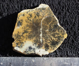 Dendritic Opal Rock Slab 08