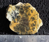 Dendritic Opal Rock Slab 11