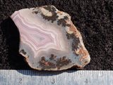 Laguna Agate 97