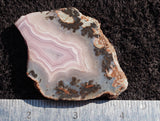 Laguna Agate 97