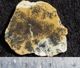 Dendritic Opal Rock Slab 14