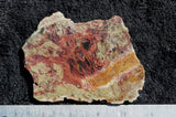 Mexican Moss Agate Rock Slab 94
