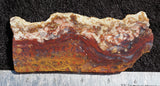 Mexican Moss Agate Rock Slab 82