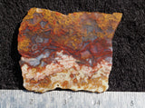 Mexican Moss Agate Rock Slab 93