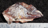 Mexican Crazy Lace Agate Rock slab 0405