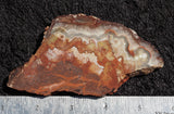Mexican Crazy Lace Agate Rock slab 0408