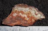 Mexican Crazy Lace Agate Rock slab 0408