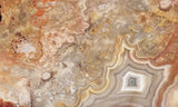 Mexican Crazy Lace Agate Rock slab 0407