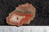 Laguna Agate 95