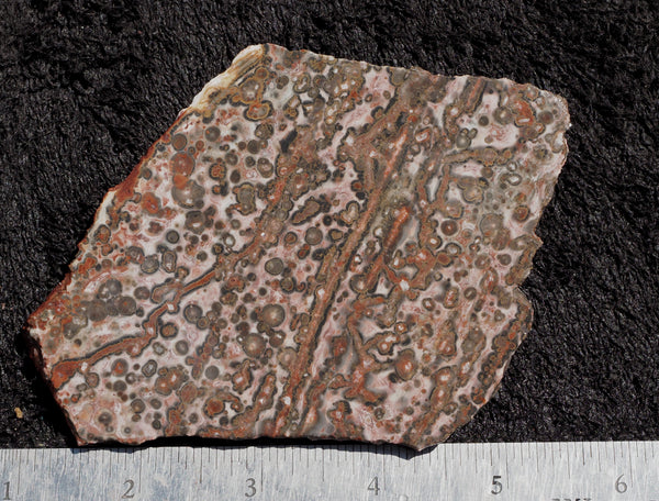 Leopard Skin Jasper Rock Slab 20 – DD Rocks
