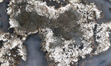 Brazilian Agate Polished Rock slab 15