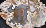 Brazilian Agate Polished Rock slab 04