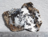 Mexican Dendritic Opal Slab 34