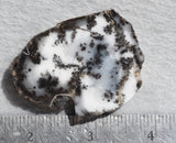 Mexican Dendritic Opal Slab 42
