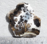 Mexican Dendritic Opal Slab 40