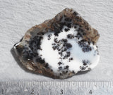 Mexican Dendritic Opal Slab 38