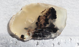 Mexican Dendritic Opal Slab 39