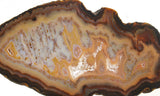 Brazilian Agate Polished Rock slab 0021