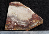 Mexican Crazy Lace Agate Rock slab 0201