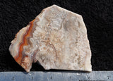 Mexican Crazy Lace Agate Rock slab 0203