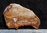 Mexican Crazy Lace Agate Rock slab 0106