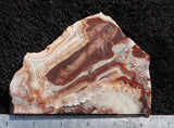 Mexican Crazy Lace Agate Rock slab 0105