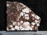Wild Horse Magnesite Rock slab 19