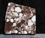 Wild Horse Magnesite Rock slab 22